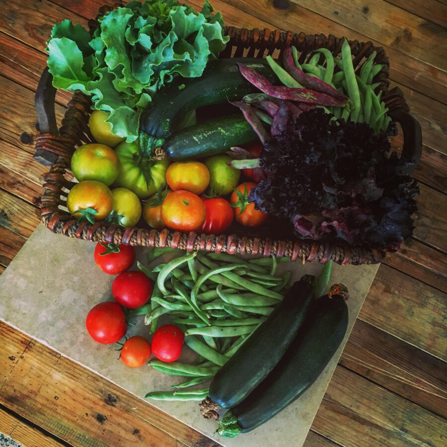 Fresh from nature Fresh from nature